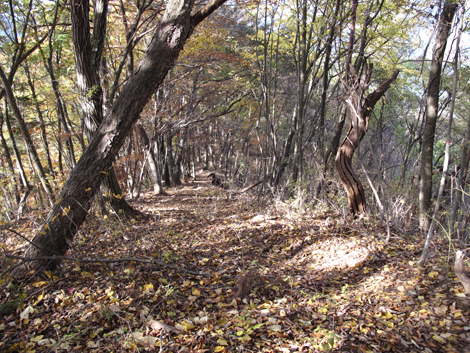 20161117hike (136)